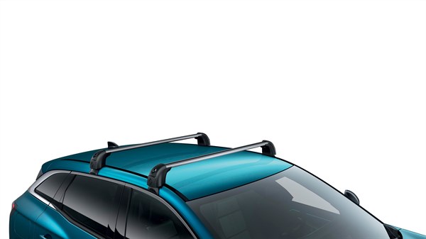 Renault aero cargo boxᵀᴹ - dodatna oprema - Renault Austral E-Tech full hybrid